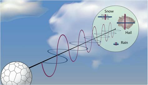 polarized radar sensitivity